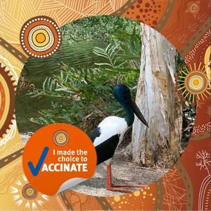 Meet your Posher, Natasha